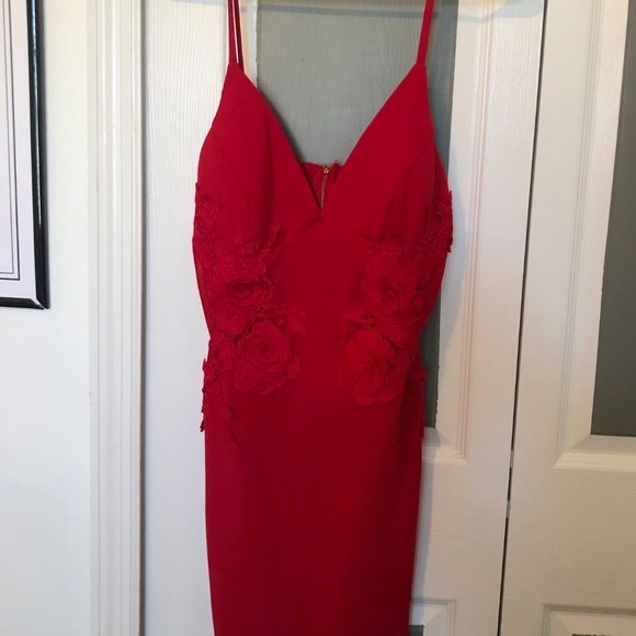 Red Mesh Sided Lace Dress - Picture 3 of 3